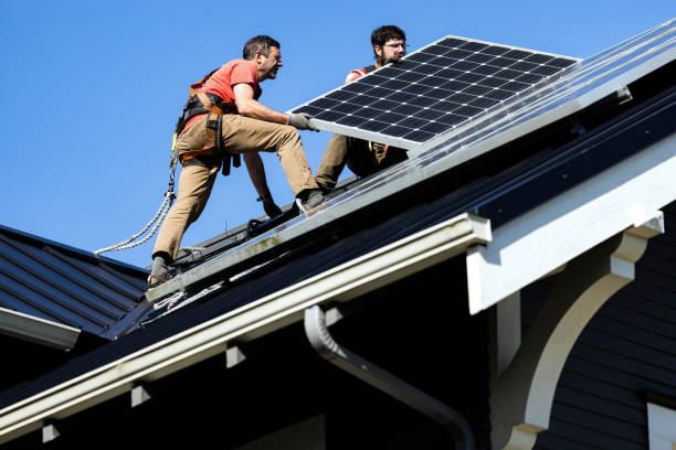 Roof Moss and Algae Removal in Newport, OH